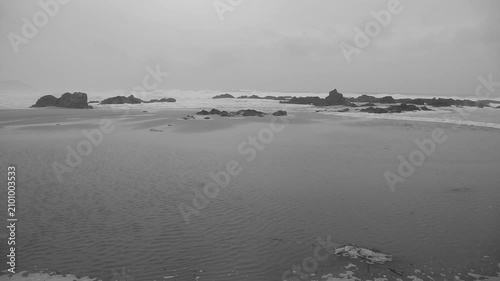 台風接近時の奄美大島の海岸線：強風に揺れる木々と荒れる海（モノクロ）