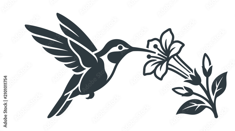Fototapeta premium Hummingbird drinking from a flower.