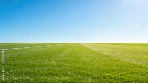 Lush green sports field stretching under clear blue sky
