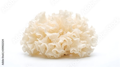 Fresh Tremella Mushroom Isolated on White Background, White Fungus with Translucent Gelatinous Folds