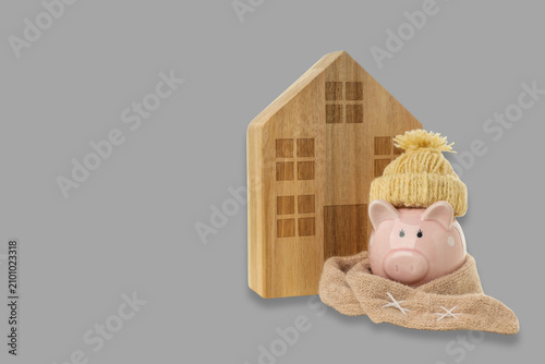 фотографія Warm piggy bank by wooden house in heating season