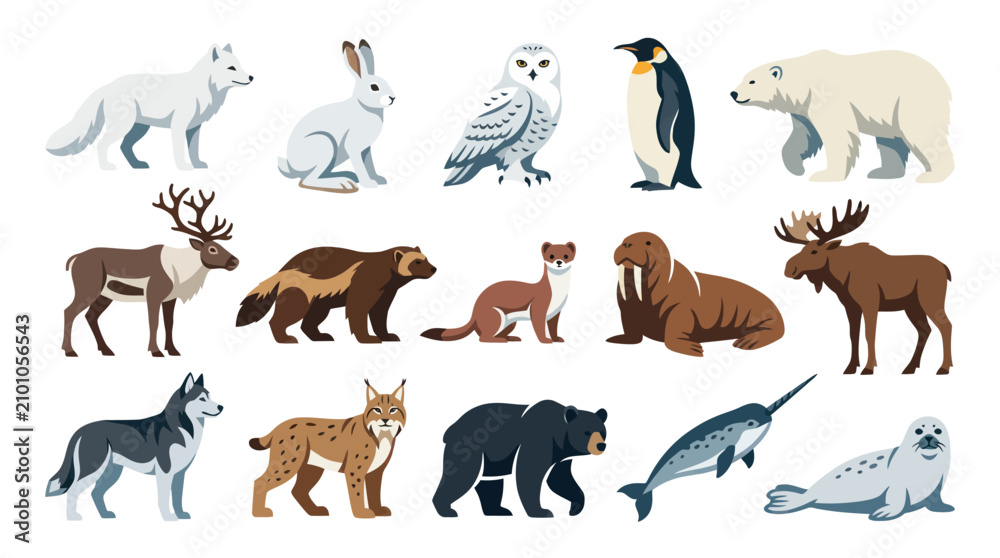 Obraz premium Flat Design Arctic Animals Vector Set. Wildlife Collection of Polar Mammals, Birds and Marine Creatures.