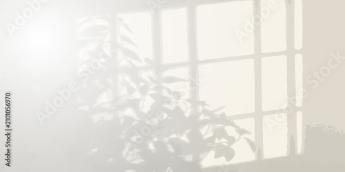 Soft window plant shadow on a clean white wall with background minimalist interior sunlight aesthetic backdrop botanical silhouette reflection peaceful houseplant structure composition