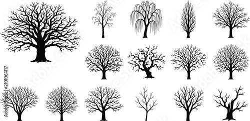 Photos Leafless Tree Silhouette Collection with Bare Winter Trees, Deciduous Woodland S