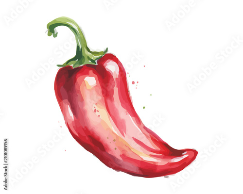 Fotografie Hand-Painted Chili Pepper Watercolor, Organic Hot Pepper Clipart, Isolated Vecto