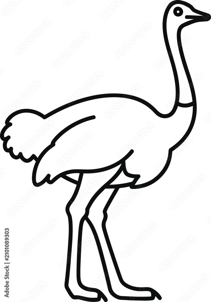 Naklejka premium WebStanding ostrich long neck line art outline vector icon logo