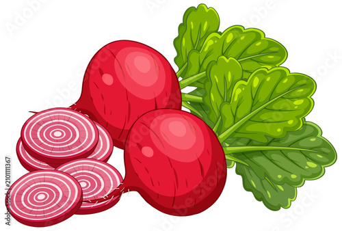 Vector Illustration of Whole and Sliced Red Beetroot with Green Leaves