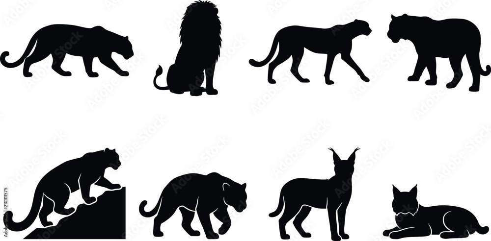 Obraz premium Wild Cat Silhouette Collection Featuring Lion Panther Lynx and Big Feline Wildlife Poses Isolated Vector Set