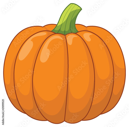 Vibrant Orange Pumpkin Vector Illustration Isolated on White Background