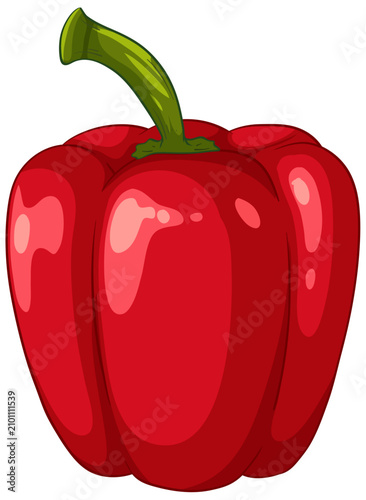 Single Ripe Red Bell Pepper Vector Illustration Isolated on White