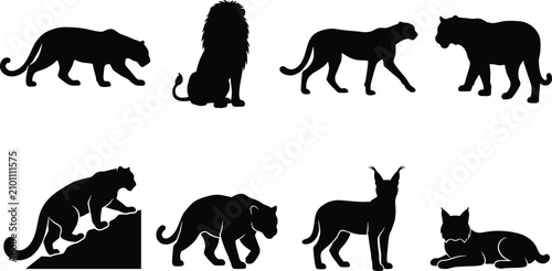 Photography Wild Cat Silhouette Collection Featuring Lion Panther Lynx and Big Feline Wildli