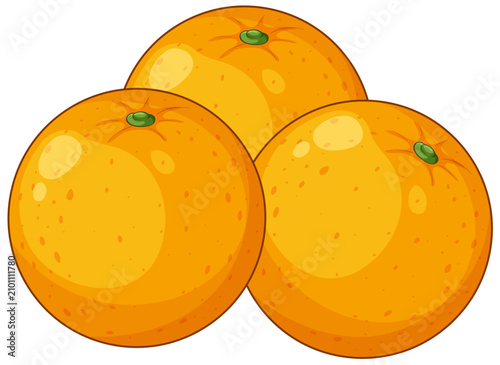 Three Whole Ripe Orange Fruits Vector Illustration on White Background