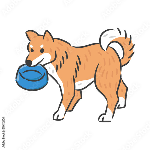 Cute Shiba Inu dog holding empty blue food bowl in mouth.
