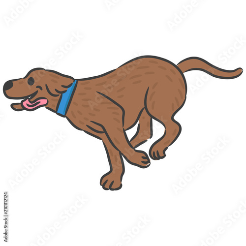 Flat Coated Retriever dog running fast active pose.