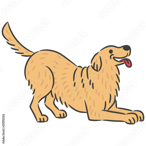 Friendly Golden Retriever dog lying down flat and smiling happily.