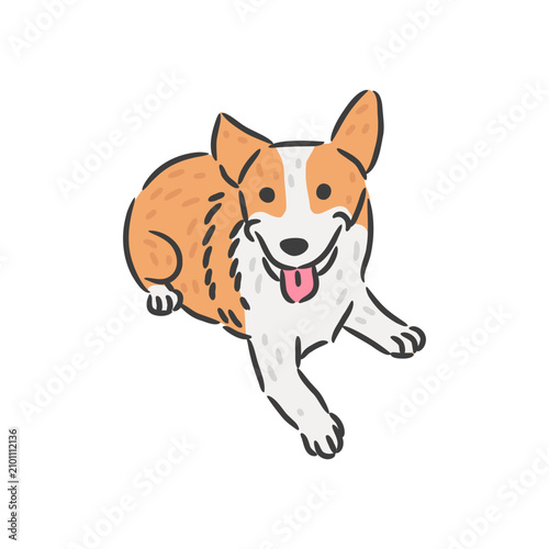 Funny Welsh Corgi dog lying down and smiling cartoon illustration.