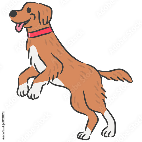 Happy Labrador Retriever dog jumping and playing cartoon vector illustration.
