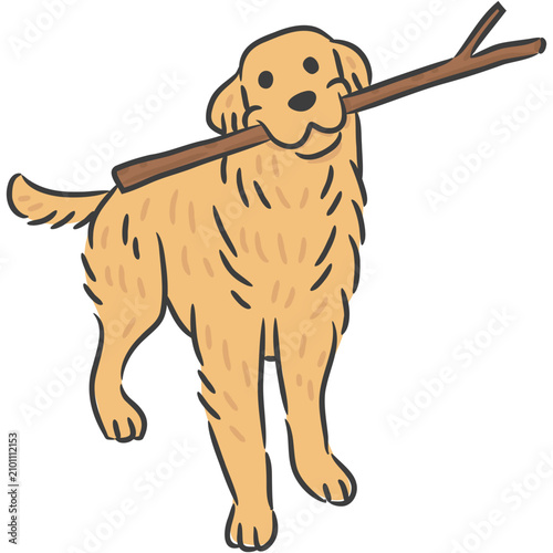 Happy Golden Retriever dog holding wooden stick in mouth vector.