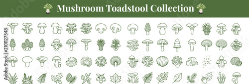 Photos Mushroom toadstool collection black line icons