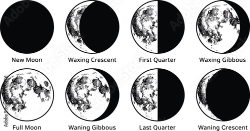 Tableau sur toile Diagram of moon phases showing lunar cycle from new to full moon with astronomy