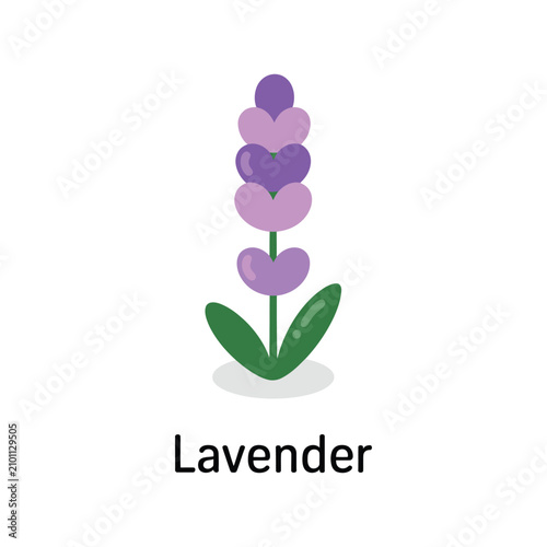 A single stem of lavender flower with purple petals and green leaves, rendered in a simple flat style isolated on a clean white background