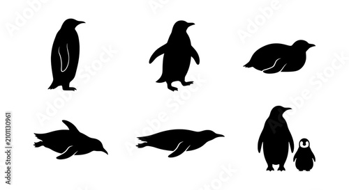 Obraz na płótnie Penguin Silhouettes Set, Vector Icons Collection, Wildlife Animal Poses, Cute Bi