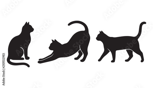 Photography black and white silhouette set of cat very high quality vector illustration