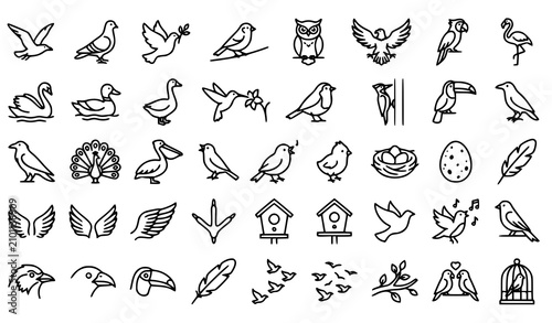 Foto Birds wildlife and ornithology elements website UI vector line icon set