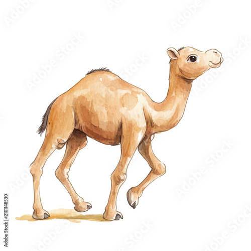 Canvas Print Camel Walking on Sandy Ground Alone.