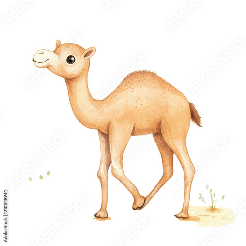 Bild auf Leinwand A Camel Standing on Sandy Ground.