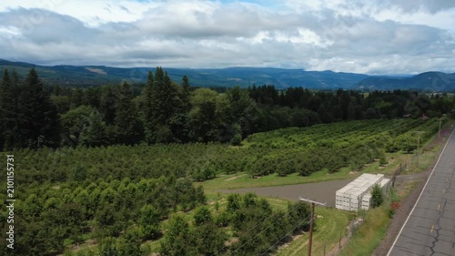 Pan left over fruit orchards to Mount Hood in Parkdale Oregon