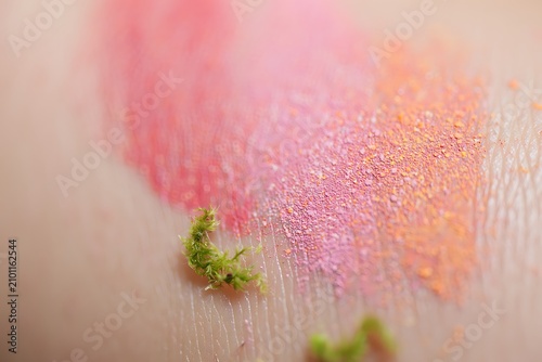 Green plant sprouting in pink flowers field