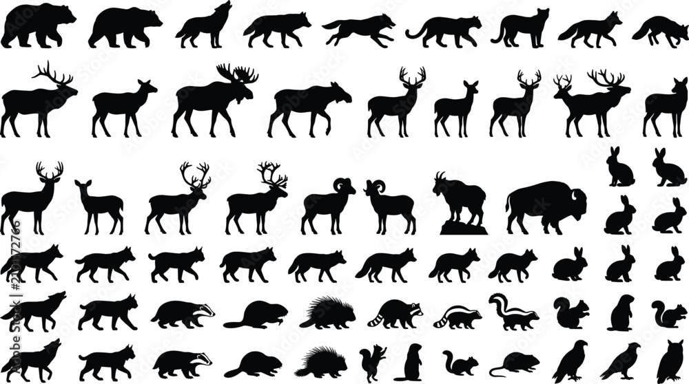 Fototapeta premium Collection of various wild forest animal silhouettes isolated on white background for design projects