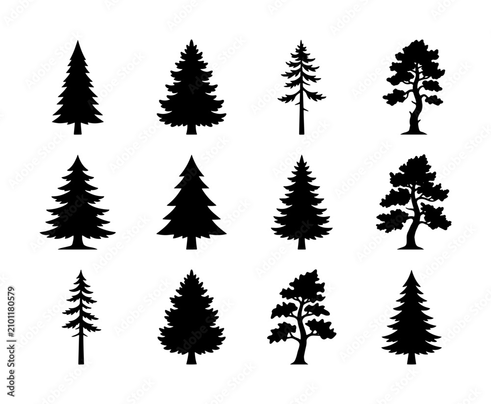 Obraz premium Conifer Tree Silhouettes Collection: Evergreen Pine and Fir Vector Icons for Nature and Forest Designs, Winter and Woodland Themes