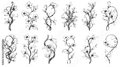 Hand drawn floral branch collection, 12 black ink flower vine illustrations, vintage botanical sketch set for wedding invitations and organic branding