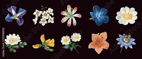 Vector illustration of ten colorful, detailed flowers on a dark background.
