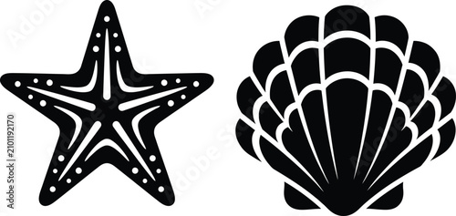 Schilderij op canvas Black and white of a spider and a spider web, isolated on white background, arac