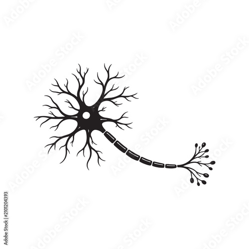 Single neuron cell illustration vector graphic design on white background