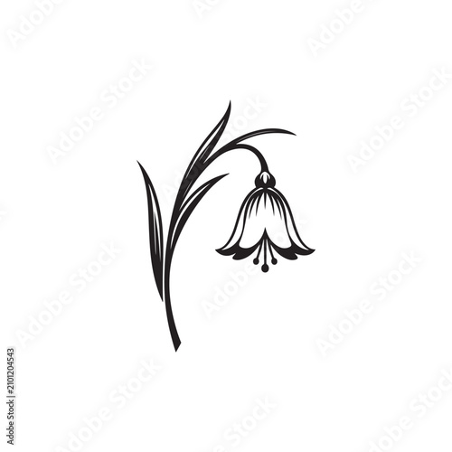 Snowdrop flower vector illustration black and white ink line art drawing