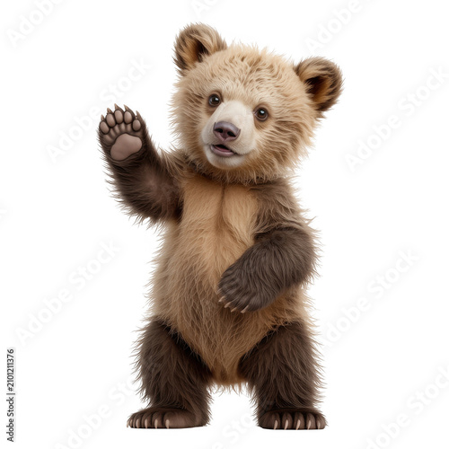 A cute brown bear standing on its hind legs with a black background
