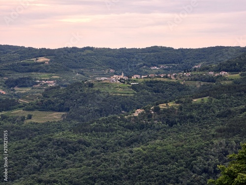 Obraz na płótnie Medieval Hilltop Village Surrounded by Green Forests and Vineyards in Istria Cro