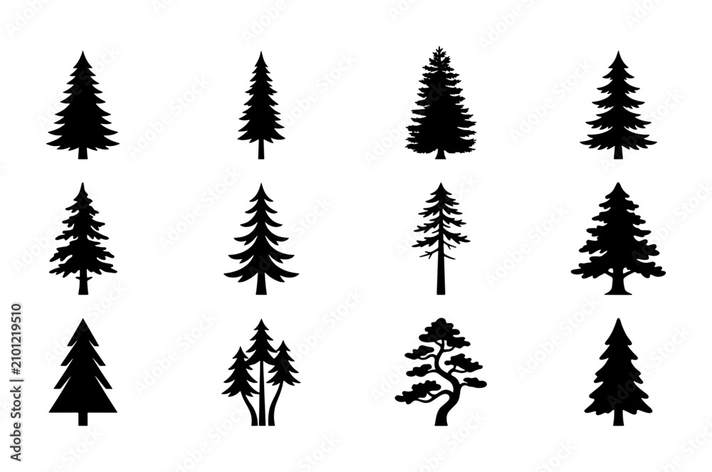 Obraz premium Conifer Tree Silhouettes Collection, Evergreen Pine Fir Spruce Icons, Nature Forest Elements, Woodland Graphics, Black and White Vector Set