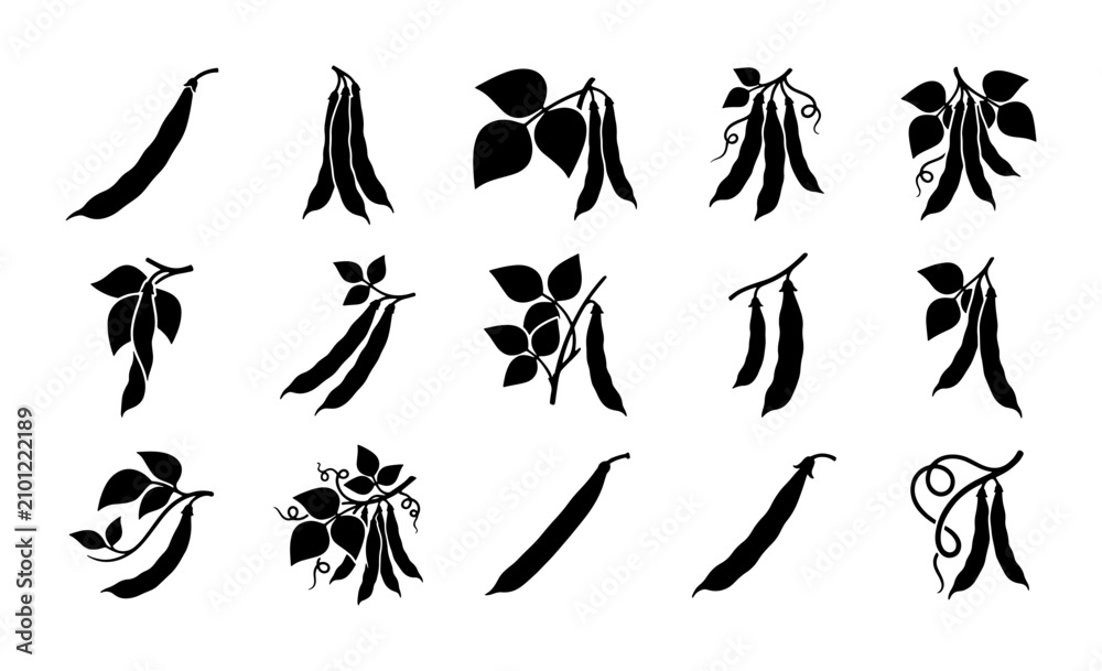 Fototapeta premium Black Bean Pod Vector Icons, Organic Vegetable Illustrations, Healthy Food Graphics, Fresh Produce Design Elements, Culinary Art