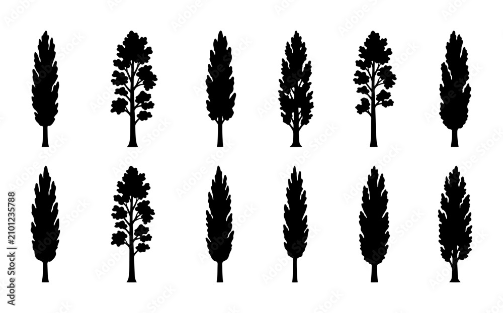 Fototapeta premium Tall Evergreen Tree Silhouettes Collection, Conifer Plant Vector Icons, Nature Landscape Elements, Black and White Botanical Graphics