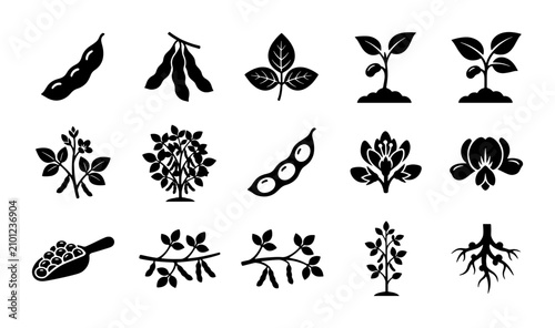 Soybean Plant Icons, Agricultural Crop Vector Graphics, Organic Farming Elements, Botanical Seed Illustrations, Black and White Silhouette Set