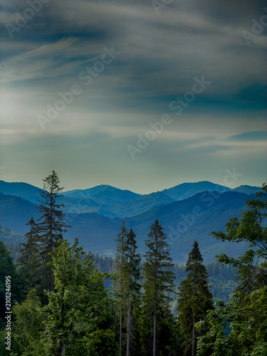 Sunny Carpathian peaks: green valleys and cloudy skies.