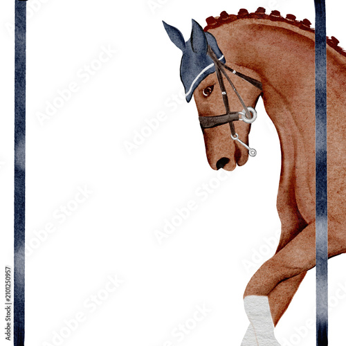 Quadro su tela Watercolor horse portrait with bridled head, navy ear bonnet, wrapped foreleg an