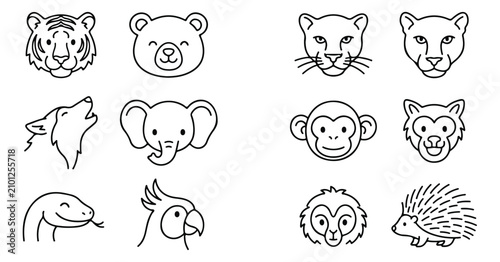 Photography Cute animal faces vector icon set, adorable wildlife character illustrations, mi