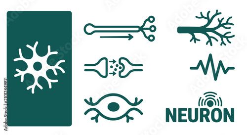 Bild auf Leinwand Minimal dark teal neuron icon set featuring axon, dendrite, synapse, signal, cell body, and nerve pulse symbols