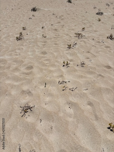 footprints on the sand in Fuerteventura